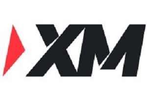 page header logo