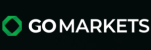 page header logo