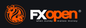 page header logo