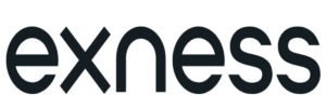 page header logo